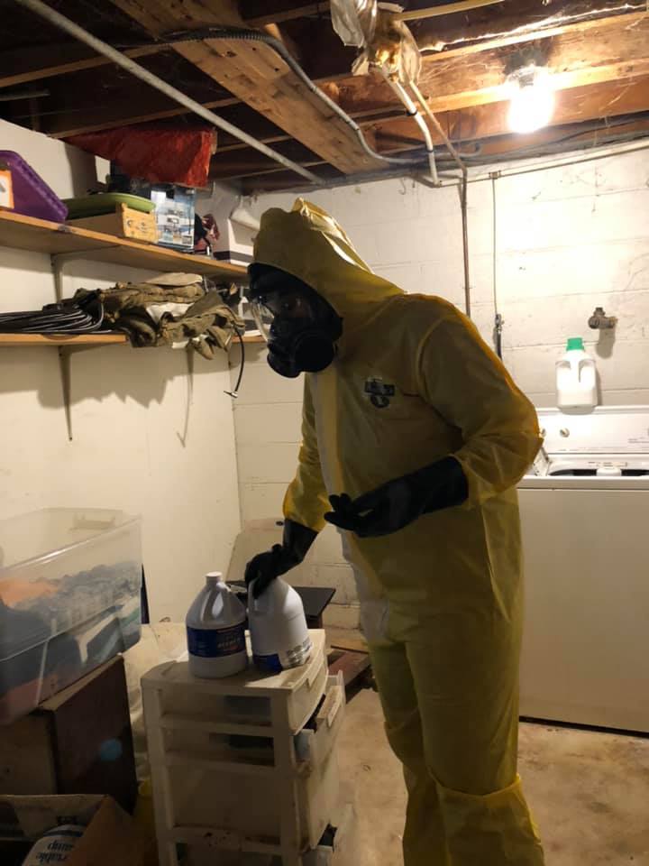 hoarding services